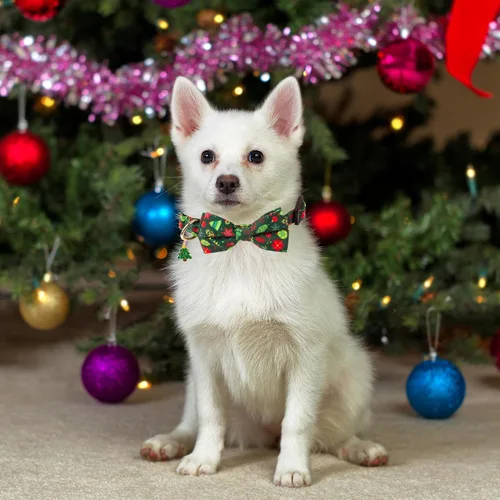 Vista 3 de ADOGGYGO Collares de Navidad para Perros con Corbatín, Collar Ajustable de Navidad para Mascotas con Corbatín Rojo Verde, Collares de Navidad