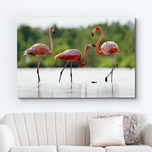 Vista 2 de wall26 Lienzo impreso para pared, trío de flamencos caribeños rosados en estanque, animales, fotografía, arte moderno, tropical, escénico