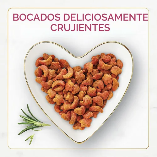 Vista 7 de Fancy Feast Purina - Alimento seco para gatos, sabor filet mignon con mariscos y camarones reales, comida gourmet para gatos con vitaminas