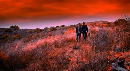 Vista 4 de John Dies at the End