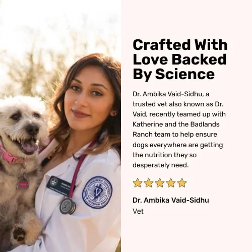 Vista 9 de BADLANDS RANCH por Katherine Heigl – Comida para perros de cordero y venado completa secada al aire con superalimentos – Alto contenido en proteínas