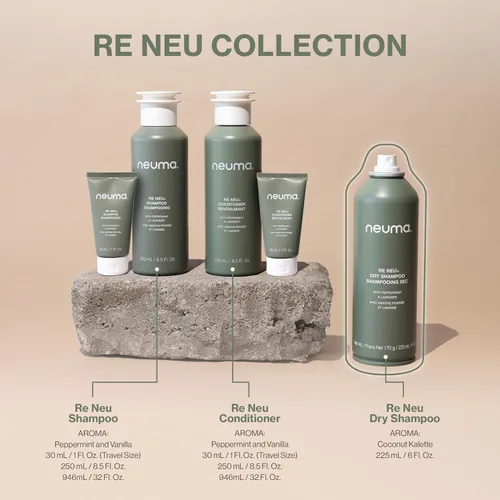 Vista 8 de NEUMA Re Neu - Champú seco de 6 onzas líquidas, sin talco, champú seco voluminizador de rápida absorción, aroma a coco Kalette