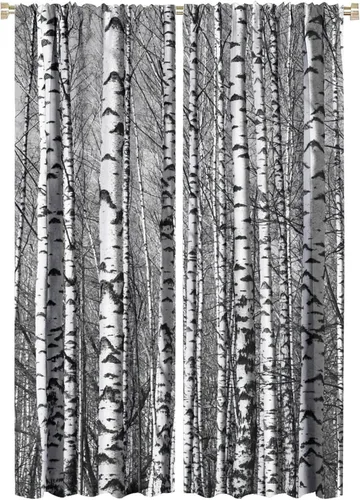 Vista 50 de Cortinas de abedul para sala de estar, niebla matutina en otoño, decoración del hogar, 42 x 45 pulgadas de largo