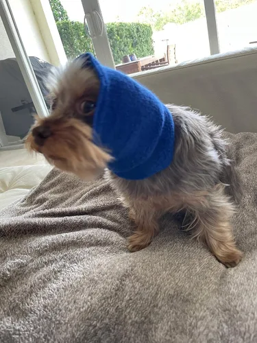 Vista 5 de Capucha para mascotas para perros, ansiedad, aseo, orejeras, protección para oídos de perro, capucha relajante, compresión de oídos, sudadera