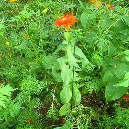 Vista 3 de Soporte de estaca para plantas, paquete de 6, anillos de soporte de jaula de plantas de un solo tallo para jardín, estacas de soporte para plantas