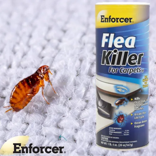 Vista 2 de Enforcer Asesino de pulgas de 20 onzas para alfombra, fragancia Ocean Breeze