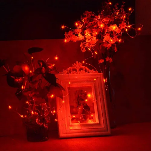 Vista 7 de RUICHEN Cadena de luces de hadas de 10 m con 100 LED, USB, con interruptor de encendido/apagado (rojo)