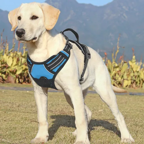 Vista 4 de Arnés reflectante para perro, arnés de chaleco sin tirones con asa, arnés ajustable y acolchado suave para mascotas para perros grandes, azul cielo