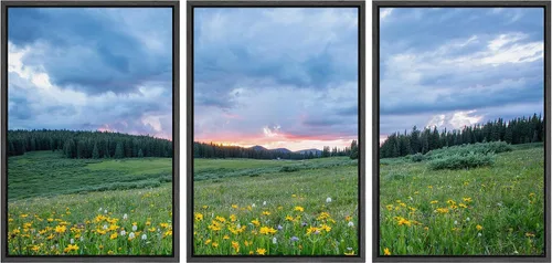 Vista 43 de wall26 Lienzo enmarcado para pared, juego de arte de selva, rana, hoja de palmera, naturaleza, desierto, arte moderno, realismo, decorativo
