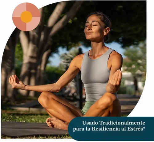 Vista 5 de Pattern Wellness Suplemento de hongos melena de león - 90 cápsulas veganas Cápsulas de suplemento para apoyo cognitivo y de enfoque: absorción