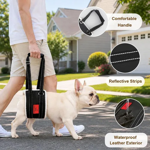 Vista 3 de Arnés de elevación para perros – Arnés ajustable para patas traseras con soporte suave para perros mayores, lesionados y discapacitados después