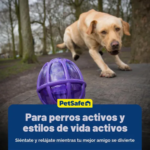 Vista 6 de PetSafe Busy Buddy Kibble Nibble juguete para perro dispensero de comida, L, Púrpura
