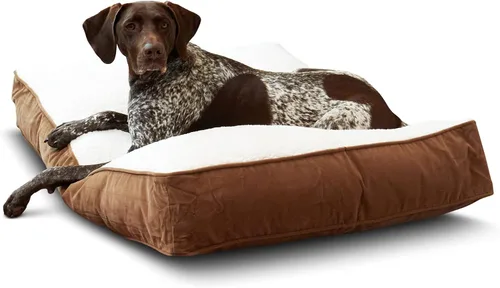 Vista 21 de South Pine Porch Buddy - Cama rectangular reversible de microfibra para perro con funda extraíble, lavable a máquina, cacao, extra pequeña