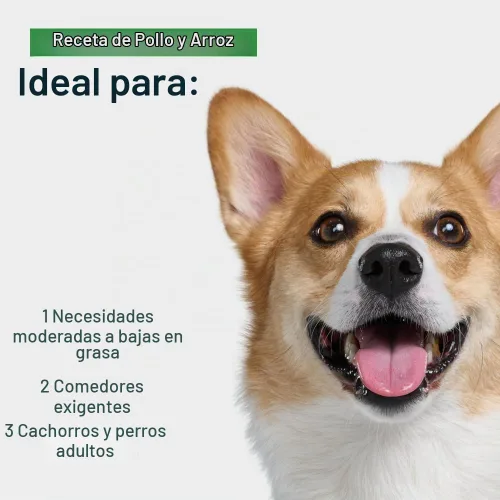 Vista 3 de JustFoodForDogs Pantry Fresh Alimento Húmedo para Perros, Comida Completa o Complemento, Receta de Pollo y Arroz Blanco de Grado Humano - 12.5 oz