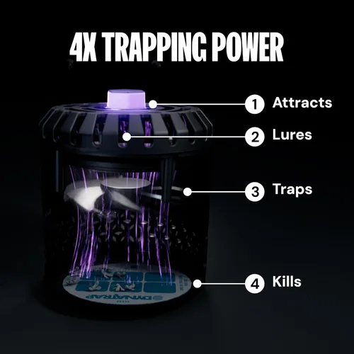 Vista 2 de DynaTrap DT152 Trampa y asesino para insectos de interior - Atrapa y mata