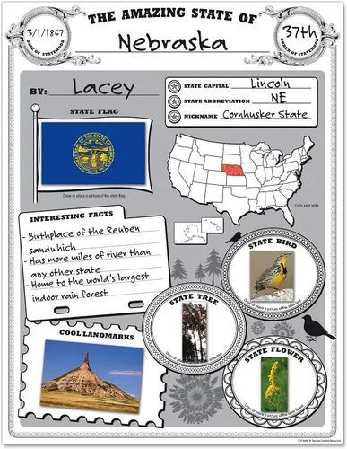 Vista 4 de Teacher Created Resources Paquete de póster Amazing State (TCR5800)