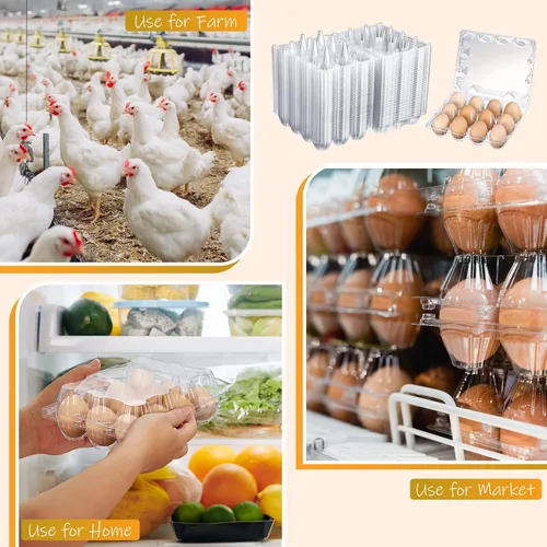 Vista 7 de Zubebe 200 Piezas Cartones de Huevos de Plástico Transparente - Bandeja Vacía a Granel para Pollos que Sostiene de Forma Segura para Granja Negocio