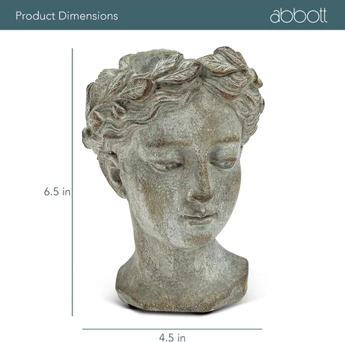 Vista 6 de Colección Abbott - Maceta de cabeza de diosa - Maceta de cemento extra pequeña para interior y exterior - Estatua de cabeza de mujer griega para Gris