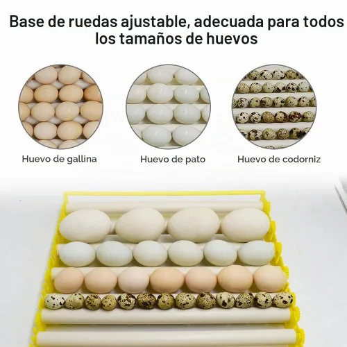 Vista 3 de HBtree - Bandeja de huevos para incubadora multifunción automática para pollos/patos/pájaros/aves de corral (13 tubos)