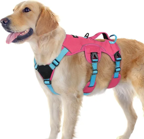 Vista 30 de rabbitgoo Arnés de perro a prueba de escape para pequeños, sin tirones con Negro