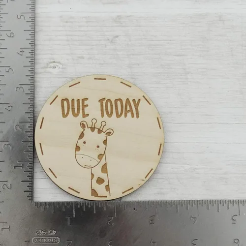 Vista 6 de Accesorios de recuerdo de fotografía de hitos mensuales de animales, madera grabada con láser, 14 piezas de círculos de 3.5 pulgadas