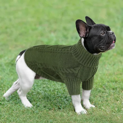 Vista 6 de Queenmore - Suéter de punto trenzado con cuello alto para perros pequeños, para climas fríos, para chihuahua, bulldog, teckel, carlino y yorkie, XS