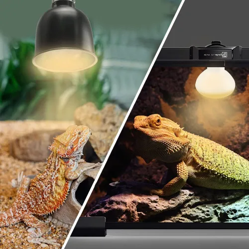 Vista 6 de LUCKY HERP Paquete de 3 bombillas de calor para reptiles de 100 W (3ª generación, más segura), bombilla de calor UVA anfibio, bombilla de luz diurna