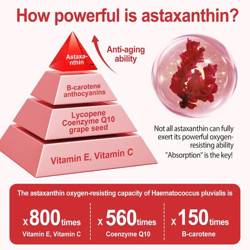 Vista 3 de Astaxantina 12 mg – Suplementos antioxidantes de astaxantina premium para apoyo a la salud de la piel y los ojos – Fuente de microalgas frescas