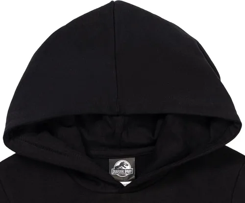 Vista 3 de Jurassic Park Sudadera con capucha y logotipo de vellón para niños grandes