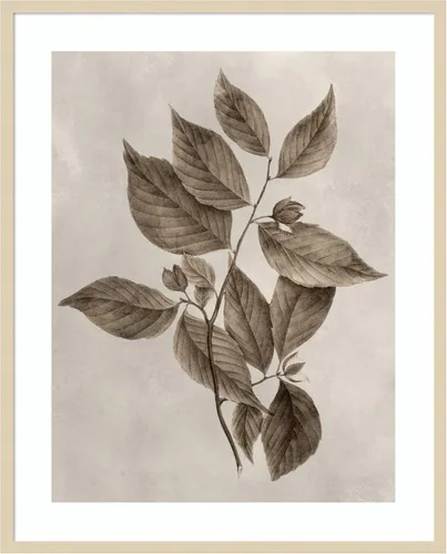 Vista 6 de Amanti Art Lienzo decorativo para pared enmarcado de 24 x 20 pulgadas, muestra de árbol III de Vision Studio, arte de pared de naturaleza