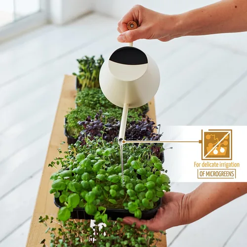 Vista 6 de AnaVeRa Regadera para plantas de interior, pequeña lata de agua de acero inoxidable con boquilla larga recta, regadera con mango de madera para casa