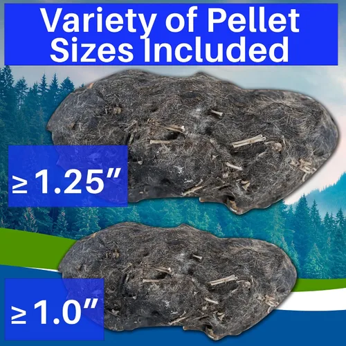 Vista 6 de Amazing Owl - Kit de disección de pellets de búho – Juego de pellets de búho de 10 piezas para proyectos de laboratorio científico – con pinzas