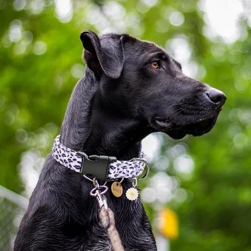 Vista 4 de Lindo collar de algodón para perro, patrones de flores, collares suaves y ajustables para cachorros, para hembras, perros pequeños, medianos