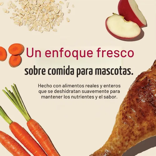 Vista 4 de The Honest Kitchen Receta integral de pavo integral, alimento deshidratado para perros de grado humano, solo agrega agua, apoya la digestión