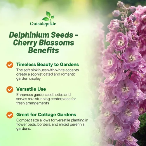 Vista 3 de Outsidepride Magic Fountains Delphinium Seeds - 100 semillas de flores perennes, autosembradas, tolerantes al calor y la sequía para plantar flores