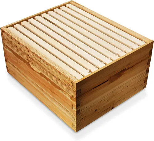 Vista 2 de Honey Keeper Kit de 10 marcos de colmena de cera de abeja 100% y 10 marcos profundos con bases para apicultura Langstroth