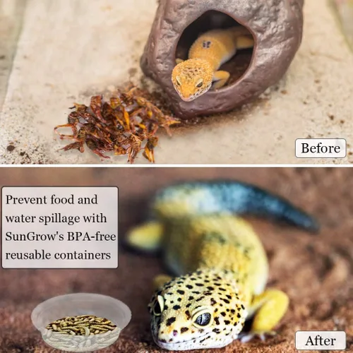 Vista 4 de SunGrow Vasos reutilizables Gecko para alimentos y agua, 100 unidades, cuencos de plástico reciclables de 1 onza, se adapta a soportes y comederos