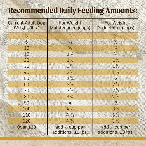 Vista 5 de Merrick Healthy Grains - Alimento seco prémium para perros adultos, croquetas saludables y naturales con pollo y arroz integral, bolsa de 4.0 libras