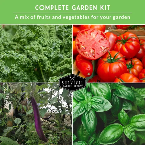 Vista 4 de Kit de iniciación de huerto – 20 semillas tradicionales sin OMG para plantar Kit de jardín familiar de regalo para jardines de la victoria