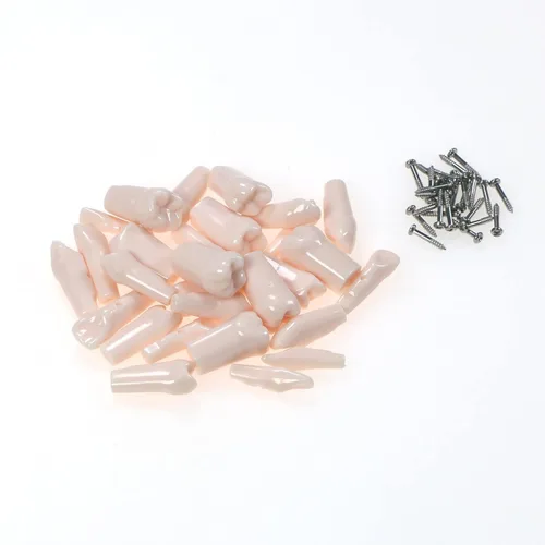 Vista 2 de 32 piezas de dientes Typodont extraíbles para dientes Typodont modelo compatible con Kilgore Nissin práctica dental y enseñanza (28 dientes)