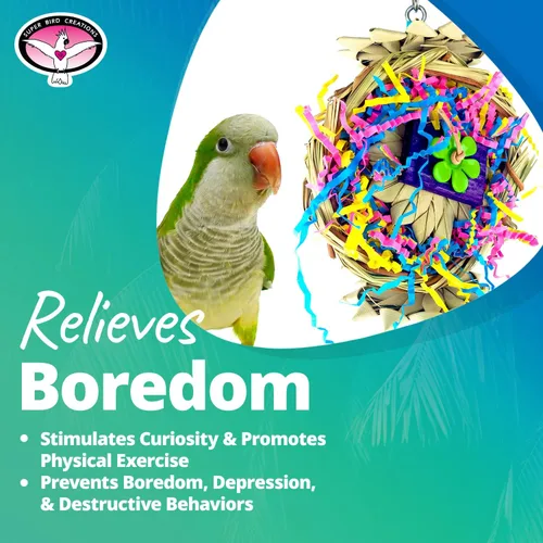 Vista 6 de Super Bird Creations SB611 Beakwhich Bird Toy - Accesorio interactivo y atractivo, ideal para loros de tamaño mediano, perfecto para masticar