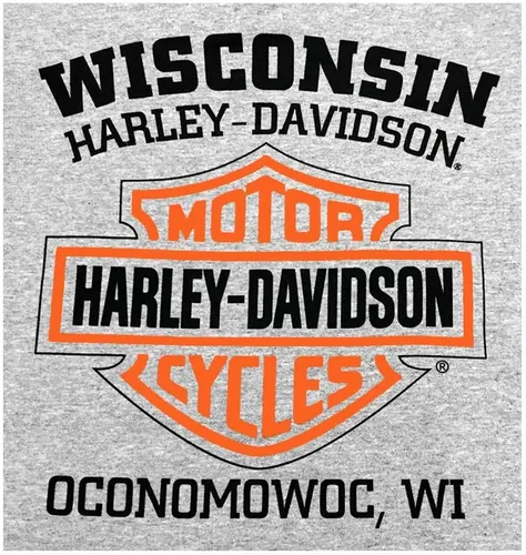 Vista 2 de Harley-Davidson Camisa de los hombres, camiseta de manga larga Willie G Skull, gris 30296651