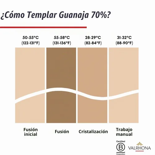 Vista 7 de Valrhona Premium French Barras de Chocolate Negro para Hornear (Feves). Clásico GUANAJA 70% Cacao. Fácil de Derretir. Fácil de Picar. Intenso