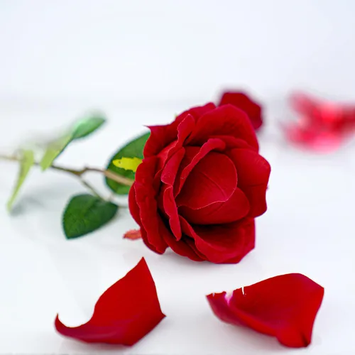 Vista 5 de Caja de anillo de rosa noble Caja de anillo de compromiso con corazón de flor para anillo de propuesta, ceremonia, boda u ocasiones especiales
