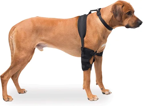 Vista 2 de Caldera Pet Therapy - Envoltura carpiano con gel, grande, color negro
