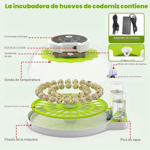 Vista 8 de Incubadora de huevos de codorniz para incubar 40 huevos de codorniz con Verde