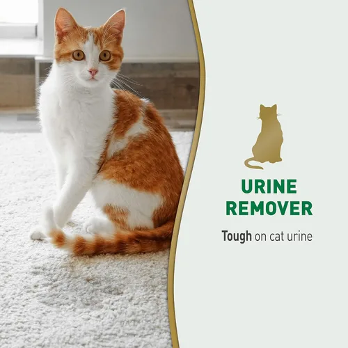Vista 3 de Nature's Miracle Removedor de orina para gatos, 24 onzas, fórmula enzimática