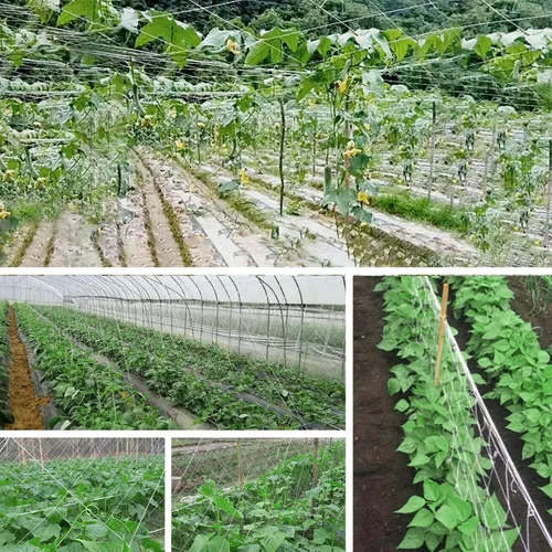 Vista 5 de 4 x 8 pies, 1 paquete de red de enrejado blanco para jardín, red de cultivo de poliéster resistente, red para plantas trepadoras al aire libre