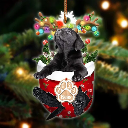 Vista 54 de NAZENTI Adorno Navideño de Bolsillo Personalizado de Affenpinscher en la Nieve, Adorno de Forma Acrílica de Perro, Adorno de Navidad 2023, Adorno