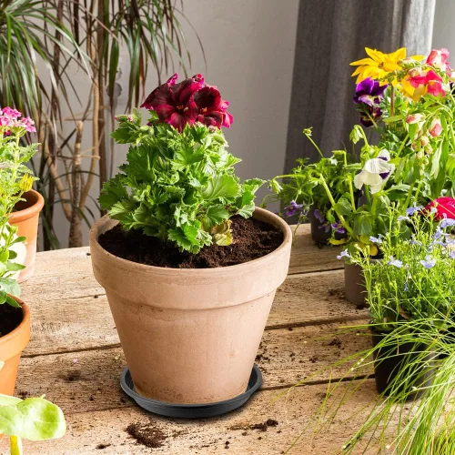 Vista 2 de BamLue Paquete de 12 platillos gruesos mejorados para plantas, 6, 8, 10 pulgadas, platos redondos de plástico para plantas de jardín